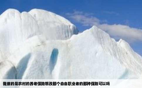 我缴的是农村的养老保险想改那个自由职业者的那种保险可以吗