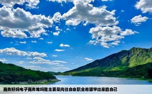 商务好吗电子商务难吗我主要是向往自由职业希望学出来能自己