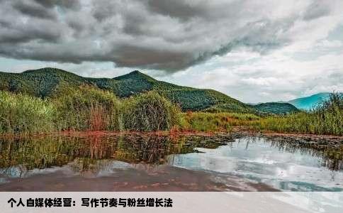 个人自媒体经营：写作节奏与粉丝增长法
