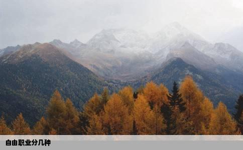 自由职业分几种
