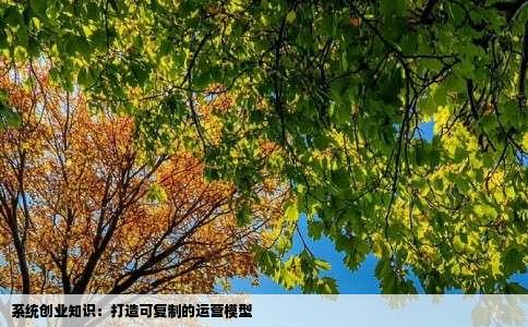 系统创业知识：打造可复制的运营模型