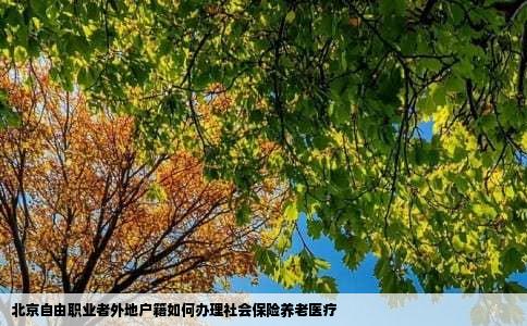 北京自由职业者外地户籍如何办理社会保险养老医疗
