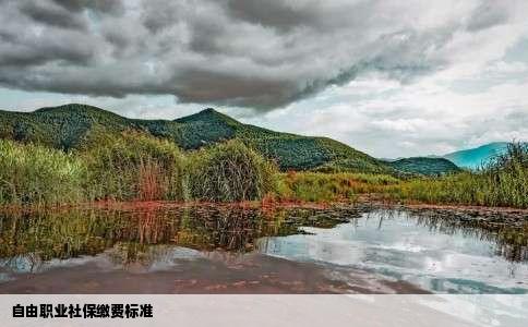 自由职业社保缴费标准