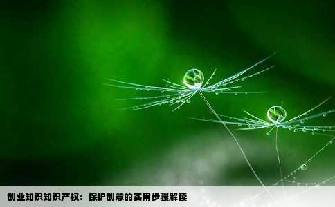 创业知识知识产权：保护创意的实用步骤解读