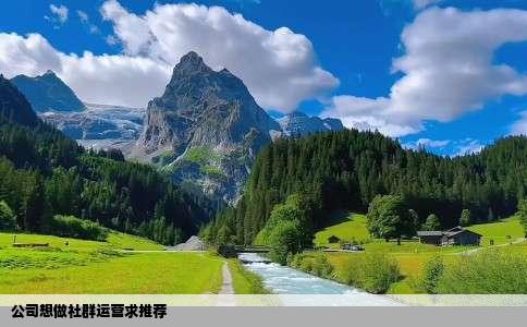 公司想做社群运营求推荐