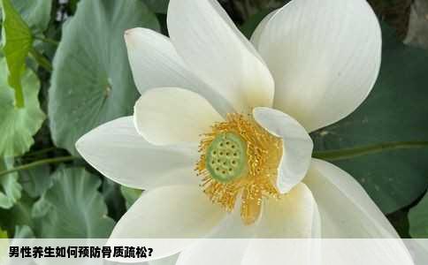 男性养生如何预防骨质疏松？