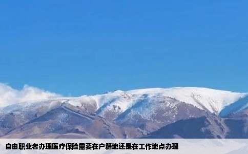 自由职业者办理医疗保险需要在户籍地还是在工作地点办理