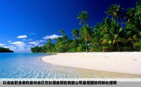 以自由职业者的身份自己交社保金现在有新公司录用那如何转社保呢