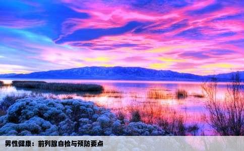 男性健康：前列腺自检与预防要点