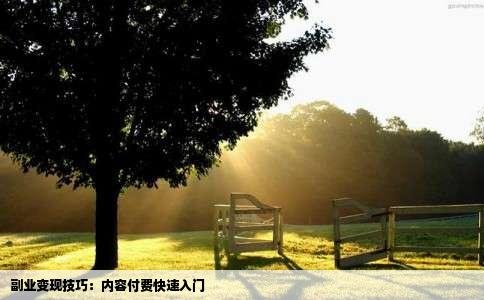 副业变现技巧：内容付费快速入门