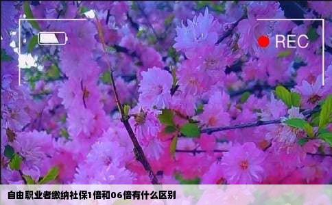 自由职业者缴纳社保1倍和06倍有什么区别