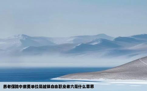 养老保险中缴费单位是城镇自由职业者六是什么意思