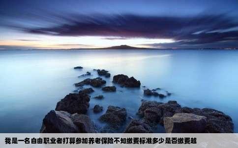 我是一名自由职业者打算参加养老保险不知缴费标准多少是否缴费越