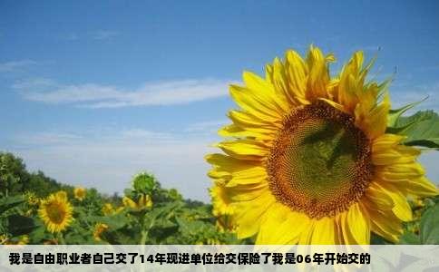我是自由职业者自己交了14年现进单位给交保险了我是06年开始交的