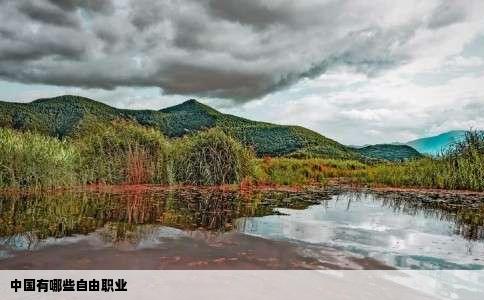 中国有哪些自由职业