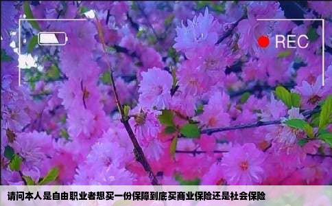 请问本人是自由职业者想买一份保障到底买商业保险还是社会保险