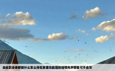 自由职业者都做什么怎么样在家里也能赚到钱呢先声明我可不会写