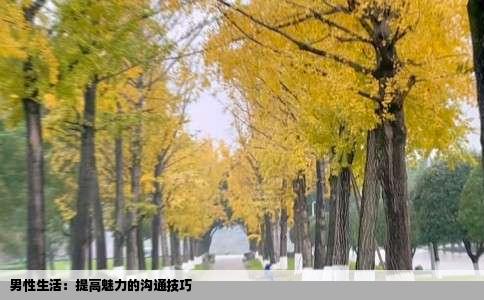 男性生活：提高魅力的沟通技巧