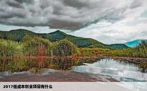 2017低成本创业项目有什么
