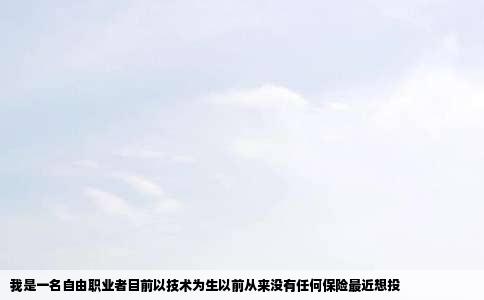 我是一名自由职业者目前以技术为生以前从来没有任何保险最近想投