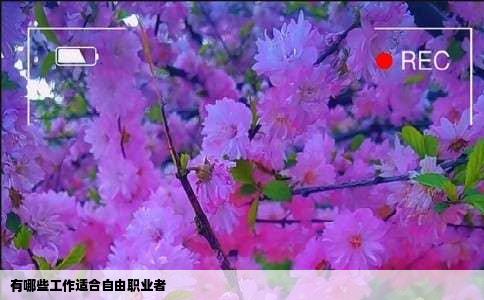 有哪些工作适合自由职业者