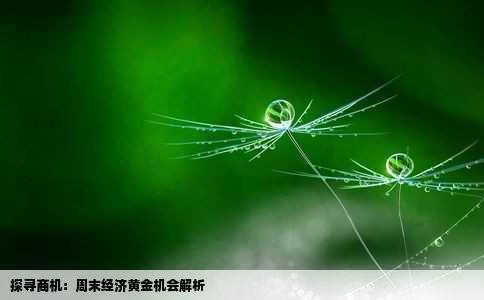 探寻商机：周末经济黄金机会解析