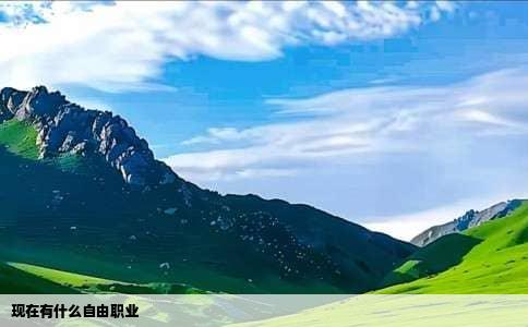 现在有什么自由职业