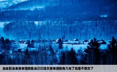 自由职业者养老保险我自己已经交养老保险有几年了如果不想交了