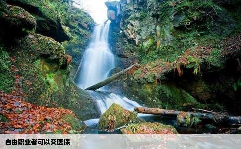 自由职业者可以交医保