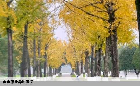 自由职业异地医保