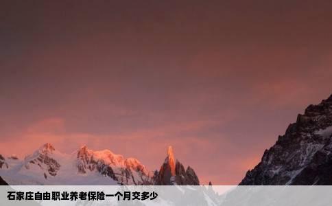 石家庄自由职业养老保险一个月交多少