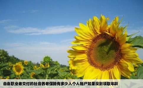 自由职业者交付的社会养老保险有多少入个人帐户如果没到领取年龄