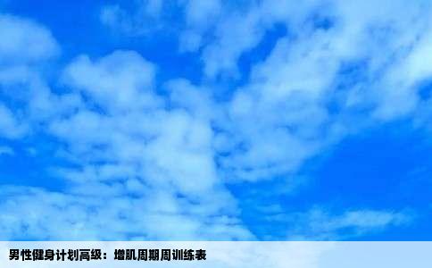 男性健身计划高级：增肌周期周训练表