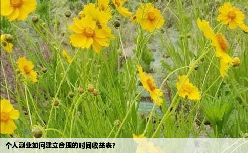 个人副业如何建立合理的时间收益表？