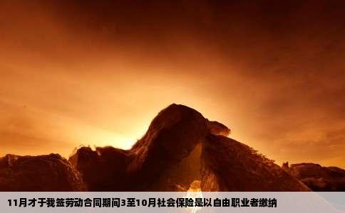 11月才于我签劳动合同期间3至10月社会保险是以自由职业者缴纳
