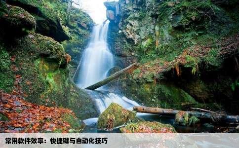 常用软件效率：快捷键与自动化技巧