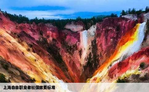 上海自由职业者社保缴费标准