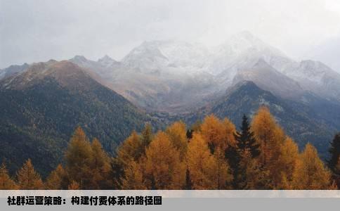 社群运营策略：构建付费体系的路径图