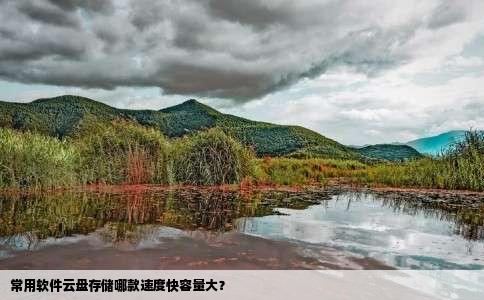 常用软件云盘存储哪款速度快容量大？