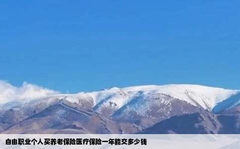 自由职业个人买养老保险医疗保险一年能交多少钱