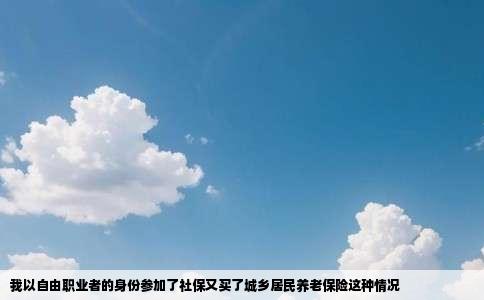 我以自由职业者的身份参加了社保又买了城乡居民养老保险这种情况
