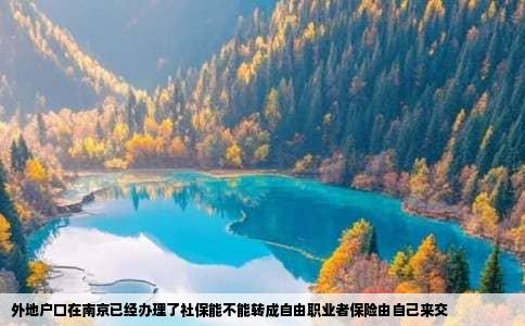 外地户口在南京已经办理了社保能不能转成自由职业者保险由自己来交
