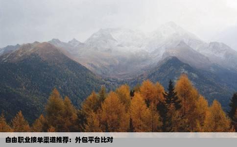 自由职业接单渠道推荐：外包平台比对