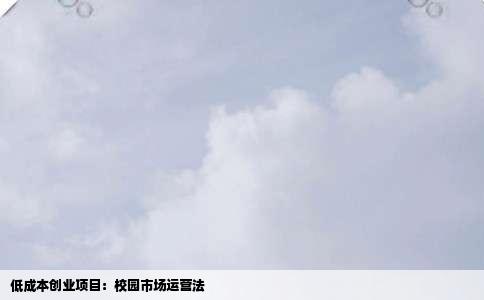 低成本创业项目：校园市场运营法