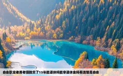 自由职业者养老保险交了15年能退休吗能拿退休金吗看清楚是自由