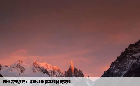 副业变现技巧：零粉丝也能实现付费变现