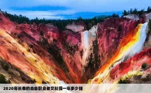 2020年长春的自由职业者交社保一年多少钱