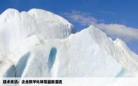 技术资讯：企业数字化转型最新潮流