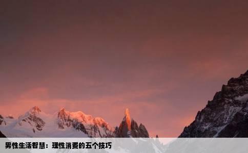 男性生活智慧：理性消费的五个技巧
