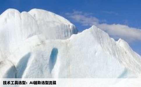 技术工具选型：AI辅助选型流程